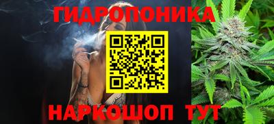 ГАЛЛЮЦИНОГЕННЫЕ ГРИБЫ Тула